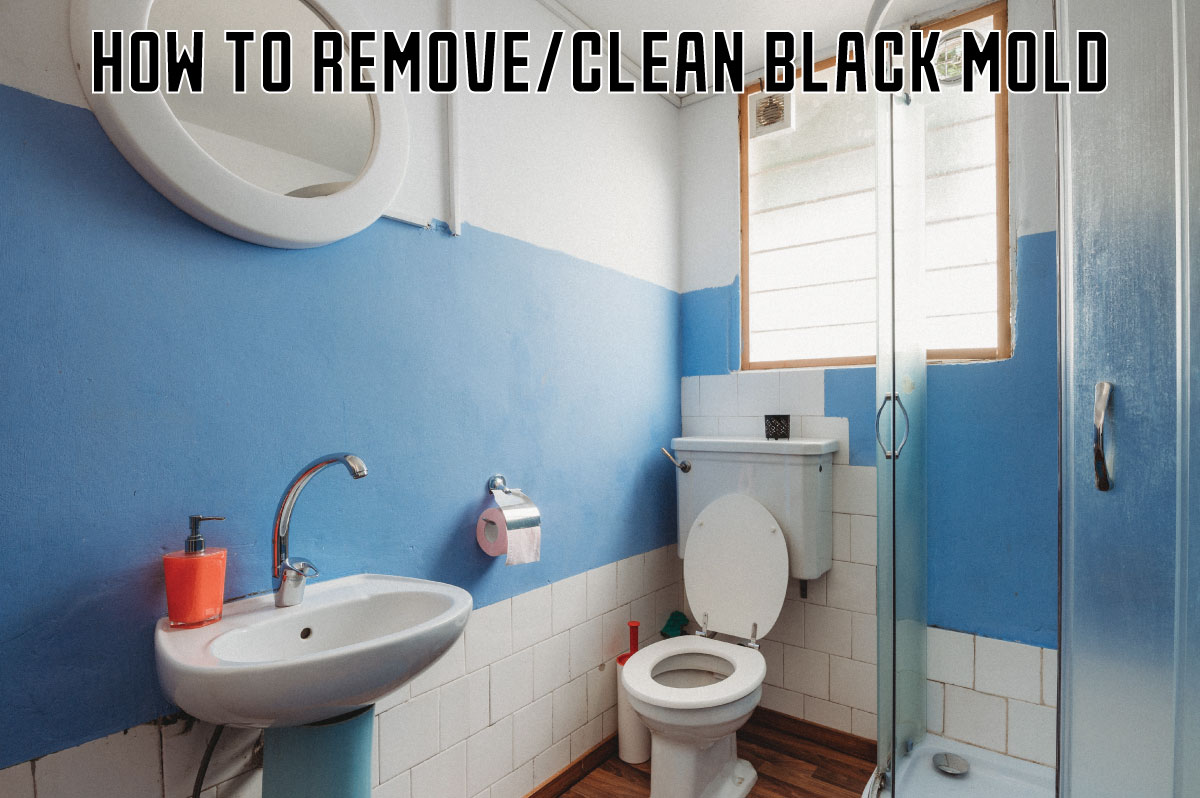 How to Clean and Remove Black Mold